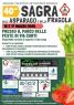 Sagra Dell’asparago E Della Fragola, 40^ Edizione - Gemonio (VA)