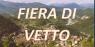 Fiera di San Giovanni a Vetto, La Fiera Di Vetto - Vetto (RE)