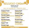 Cinema in Piazza, Reggiolo Cinema, In Piazza Martiri A Reggiolo - Reggiolo (RE)