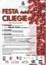 Festa Delle Ciliegie, Edizione 2023 - Bareggio (MI)