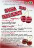 Sagra Della Ciliegia, Edizione 2019 - Graniti (ME)