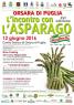 Sagra Dell'asparago, Di Giardinetto - 16^ Edizione - Orsara Di Puglia (FG)
