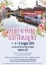 Fiori e Arte sul Naviglio a Gaggiano, Rassegna Con Vendita Al Pubblico Floreale, Artistica, Artigianale - Gaggiano (MI)