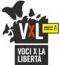Voci Per La Libertà, 25° Festival Una Canzone Per Amnesty - Rosolina (RO)