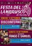 Festa Del Lambrusco, Edizione 2016 - Torrile (PR)