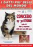 I Gatti Più Belli Del Mondo, Esposizione Internazionale Felina - Concesio (BS)