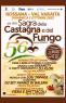Sagra Della Castagna E Del Fungo, 56ima Edizione - 2023 - Rossana (CN)