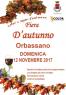 Fiera D'Autunno, Colori E Sapori D'autunno - Orbassano (TO)