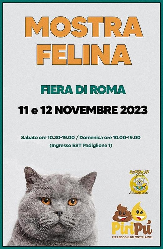 Supercat Show a Roma, 2023, (RM) Lazio