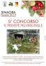 Mostra Concorso Presepi, Il Presepe Più Originale - 5^ Edizione - Sinagra (ME)