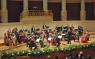 Capodanno A Teatro, Strauss Festival E Dell'orchester Wien - Udine (UD)