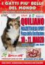 I Gatti Piu' Belli Del Mondo, Esposizione Internazionale Felina - Quiliano (SV)