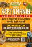 Reptilmania, Fiera Mercato Animali Esotici A Origgio - Origgio (VA)