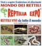 Reptilia Expo, Rettili Vivi Da Tutto Il Mondo In Mostra - Gambolò (PV)