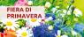 Mostra Mercato Commerciale E Artigianale, Edizione 2022 - Rivalta Di Torino (TO)