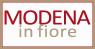 Modena In Fiore, Piante E Fiori Della Primavera - Modena (MO)