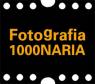 Fotografia 1000naria, Mostra Mercato e sale di posa con modelle - Gonzaga (MN)