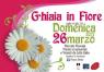 Ghiaia In Fiore, Mostra Mercato Con Fiori, Piante Di Stagion - Parma (PR)