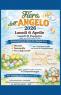 Fiera Dell'angelo A Campodarsego, 65ima Edizione Della Fiera Degli Uccelli - Campodarsego (PD)