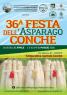 Festa Dell'asparago A Conche Di Codevigo, 3 Weekend Di Festa Dell'asparago A Conche Di Codevigo - Codevigo (PD)