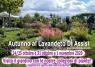 Lavandeto Di Assisi, Autunno A Il Lavandeto Di Assisi - Alla Scoperta Delle Erbe Aromatiche E Del Giardino - Assisi (PG)