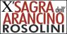 La Sagra Dell'arancino a Rosolini, 10ima Edizione - Rosolini (SR)