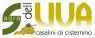 Sagra Dell'uva, Edizione 2019 - Cisternino (BR)