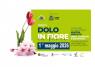 Festa dei Fiori a Dolo, Dolo In Fiore - Dolo (VE)