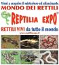Reptilia Expo - L'affascinante Mondo Dei Rettili, Rettili Vivi Da Tutto Il Mondo In Mostra - Vinci (FI)