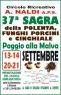 Sagra Della Polenta Funghi Porcini E Cinghiale, Edizione 2025 - Carmignano (PO)