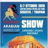 Trapani Arabian Horses Cup, Show Di Morfologia - Buseto Palizzolo (TP)