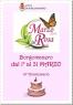 Marzo In Rosa, 10^ Edizione - 2017 - Borgomanero (NO)