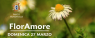 Floramore Mostra-mercato di piante insolite e da collezione, Edizione 2022 - Rovolon (PD)