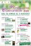 Festa Di Primavera a Caerano, Edizione 2026 - Caerano Di San Marco (TV)