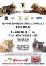 I Gatti Piu' Belli Del Mondo, Esposizione Internazionale Felina - Gambolò (PV)