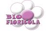 Bio-fioricola Di Primavera, Mostra Mercato Di Fiori, Prodotti Biologici E Artigianato  - Pelago (FI)
