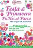 Festa 1 Maggio, Festa Della Primavera 2017 Mogliano Veneto - Mogliano Veneto (TV)