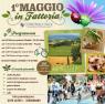 Festa Del Primo Di Maggio, ...in Fattoria - Mantova (MN)