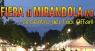 Fiera Di Mirandola, Edizione - Anno 2024 - Mirandola (MO)