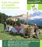 Merenda Contadina Bergler - Harass, Il pic nic green al cospetto del Catinaccio! - Tires (BZ)