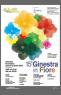 Ginestra In Fiore, 15ima Edizione - 2023 - Lastra A Signa (FI)