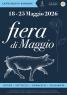 La Fiera Di Maggio A Castelnuovo Rangone, La Fiera Dei Sapori A Castelnuovo Rangone - Castelnuovo Rangone (MO)