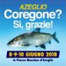 Coregone? Sì, Grazie!, Edizione 2018 - Azeglio (TO)