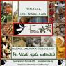 Fierucola Dell'Immacolata, A Firenze Il Mercatino Con Le Idee Di Natale - Firenze (FI)