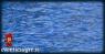Miglio Blu Del Golfo Del Tigullio, 8a Edizione - Portofino (GE)