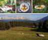 Natura E Bosco In Val D'ega, Settimane Culinarie -  (BZ)