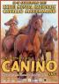 Mostra Nazionale Del Cavallo Maremmano, 39^ Edizione - Canino (VT)