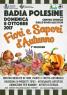 Fiori E Sapori D'autunno, 5^ Edizione - Badia Polesine (RO)