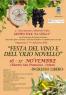 Festa Del Vino E Dell'olio Novello, Edizione 2019 - Ostuni (BR)
