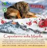 Capodanno Sulla Majella, Natura Incontaminata, Eremi, Borghi E Buona Cucina - Sant'eufemia A Maiella (PE)